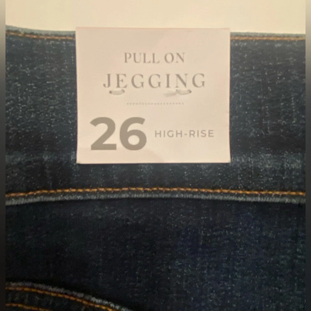 NEW Lane Bryant Pull-On‎ High Rise Jegging Jeans Size 26